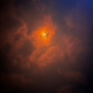 Meet your Posher, Sydney